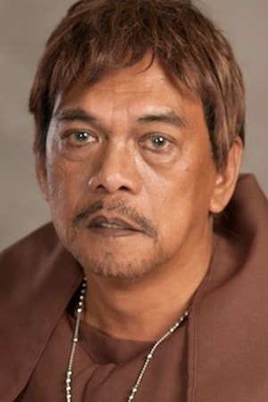 Póster de Lou Veloso