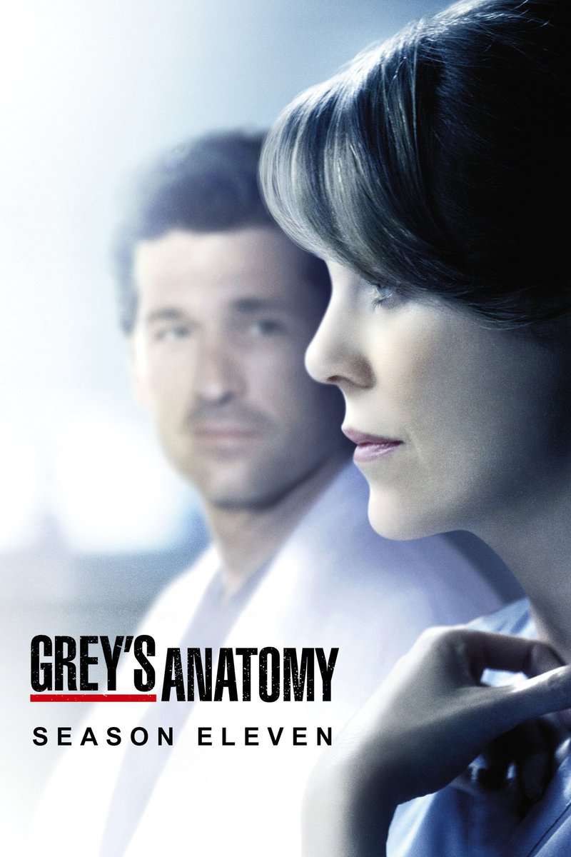Temporada 11 De Anatomia De Grey