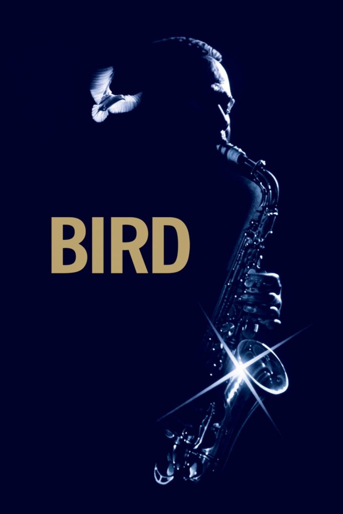 Póster de Bird