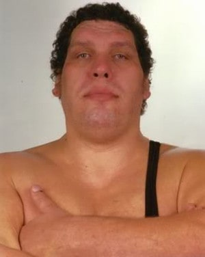 Póster de André the Giant
