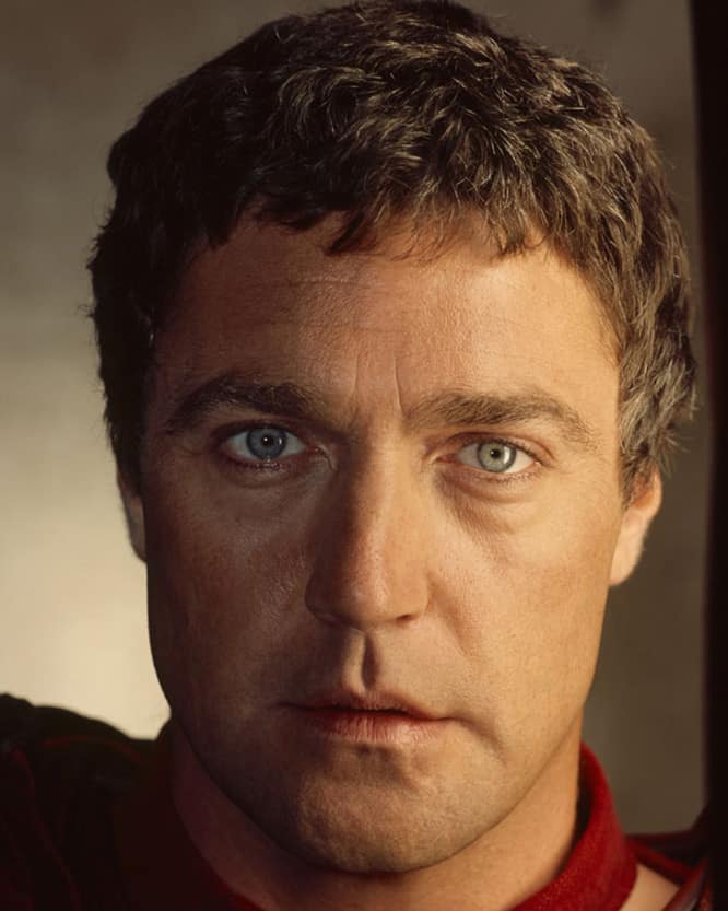 Póster de Vincent Regan