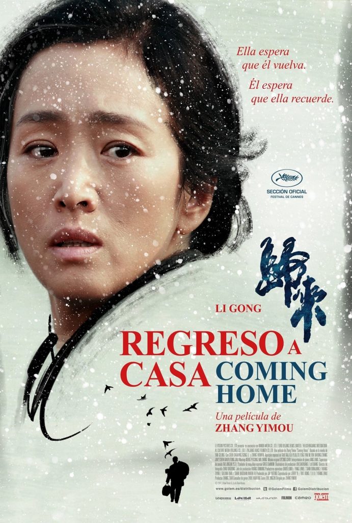 Póster de Regreso a casa