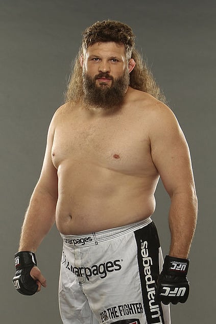 Póster de Roy Nelson