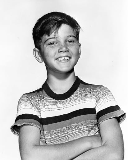 Póster de Paul Petersen