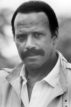 Póster de Fred Williamson