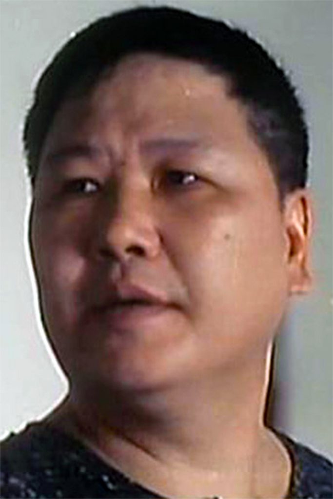 Póster de Peter Chan Lung
