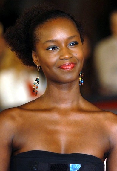 Póster de Fatou N’Diaye