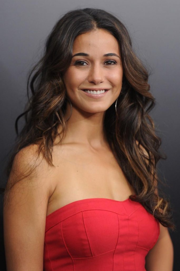 Póster de Emmanuelle Chriqui