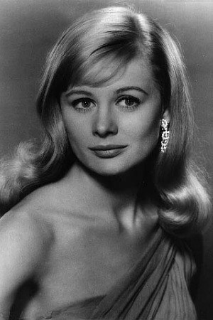 Póster de Shirley Knight