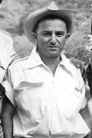 Póster de George Sherman