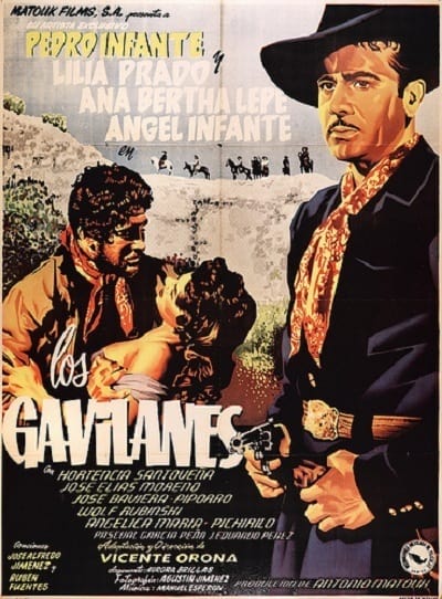 Póster de Los gavilanes