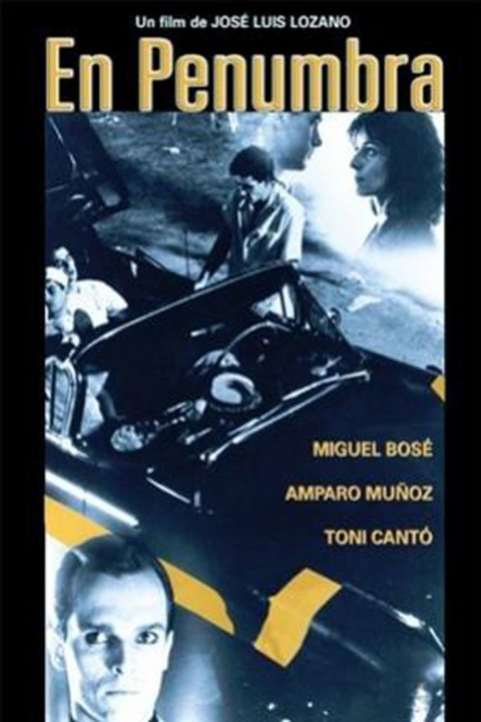 Póster de En penumbra