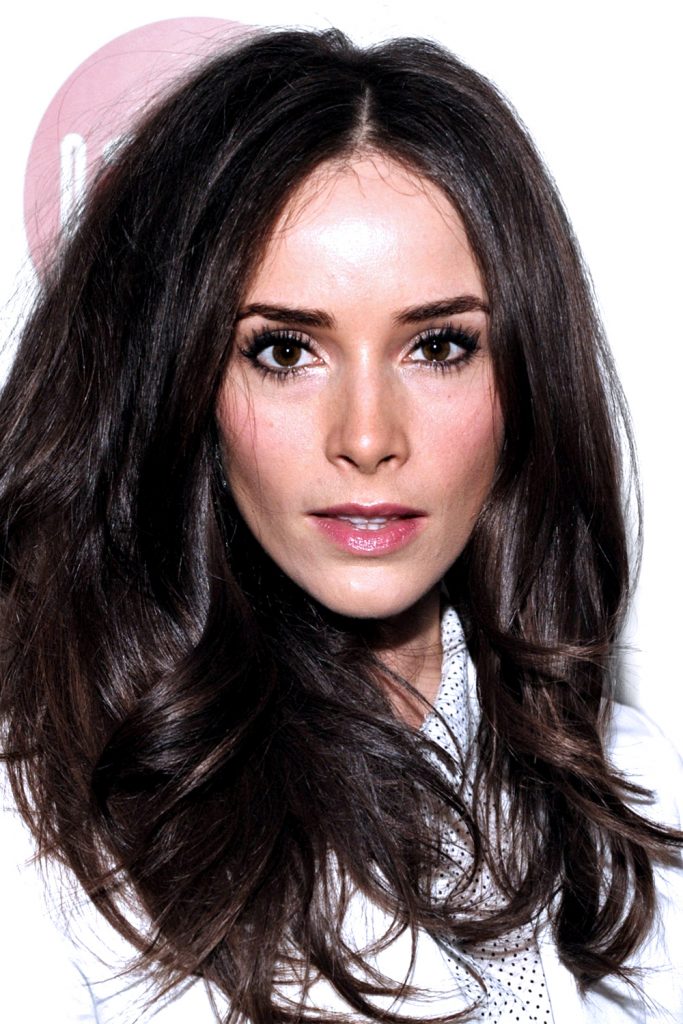 Póster de Abigail Spencer