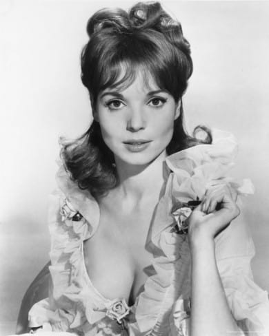 Póster de Elsa Martinelli