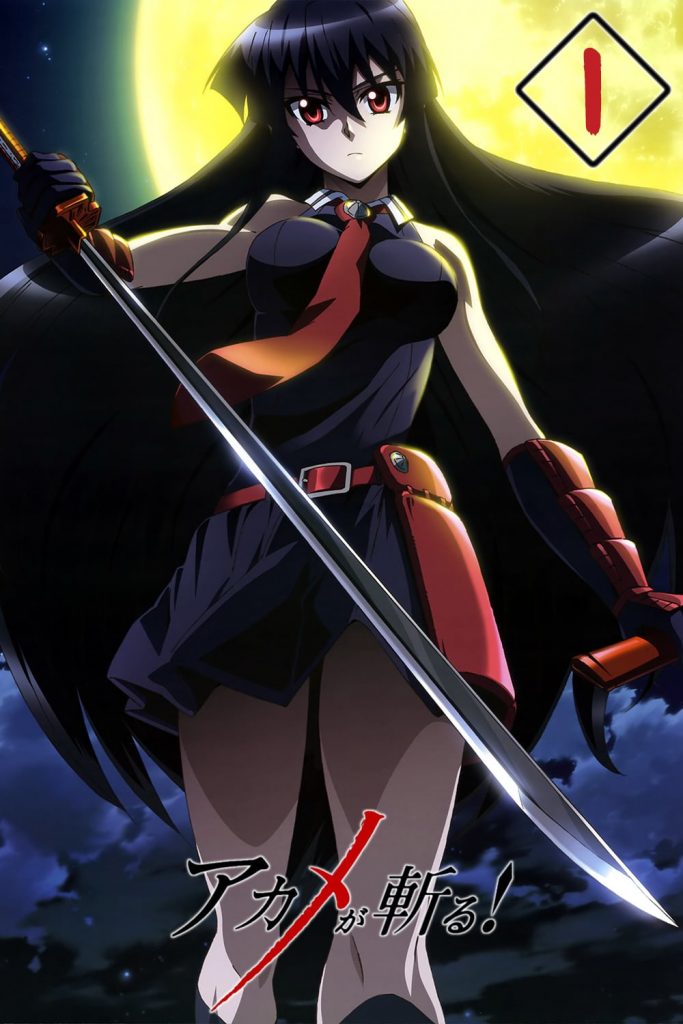 Póster de Akame ga Kill! Temporada Final 1
