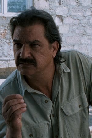 Póster de Gérard Meylan