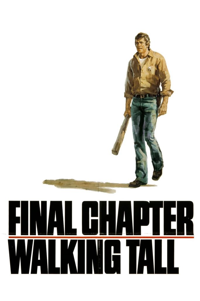 Póster de Pisando fuerte III: Encuentro final