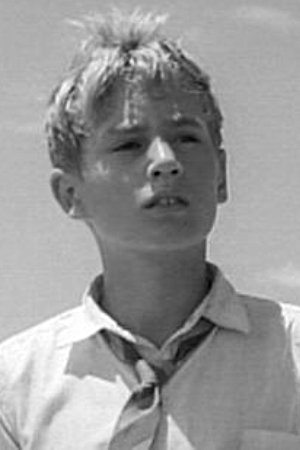 Póster de Tom Chapin