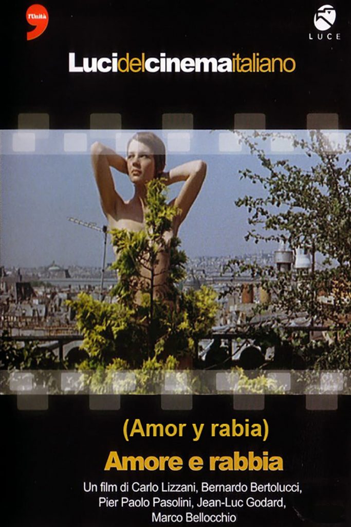 Póster de Amor y rabia