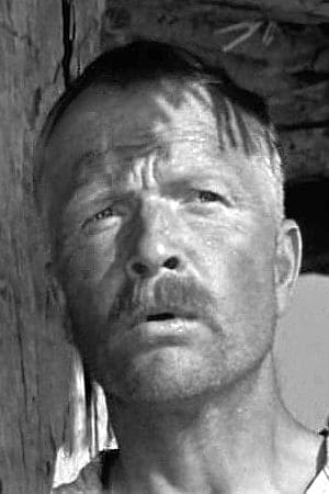 Póster de Nikolay Volkov