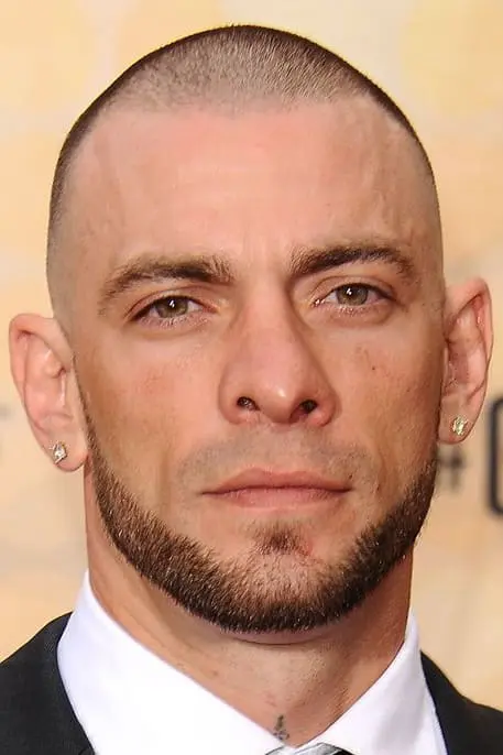 Póster de Joe Schilling