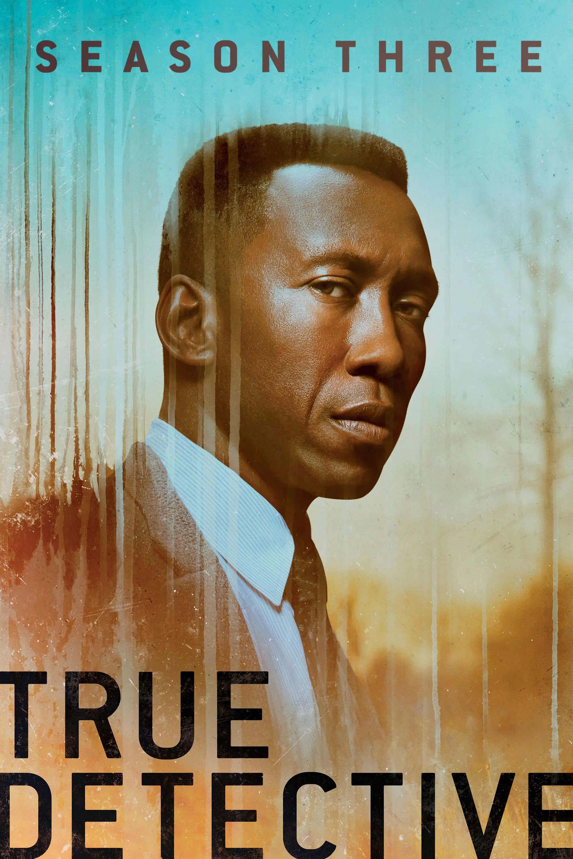 Póster de True Detective Temporada 3