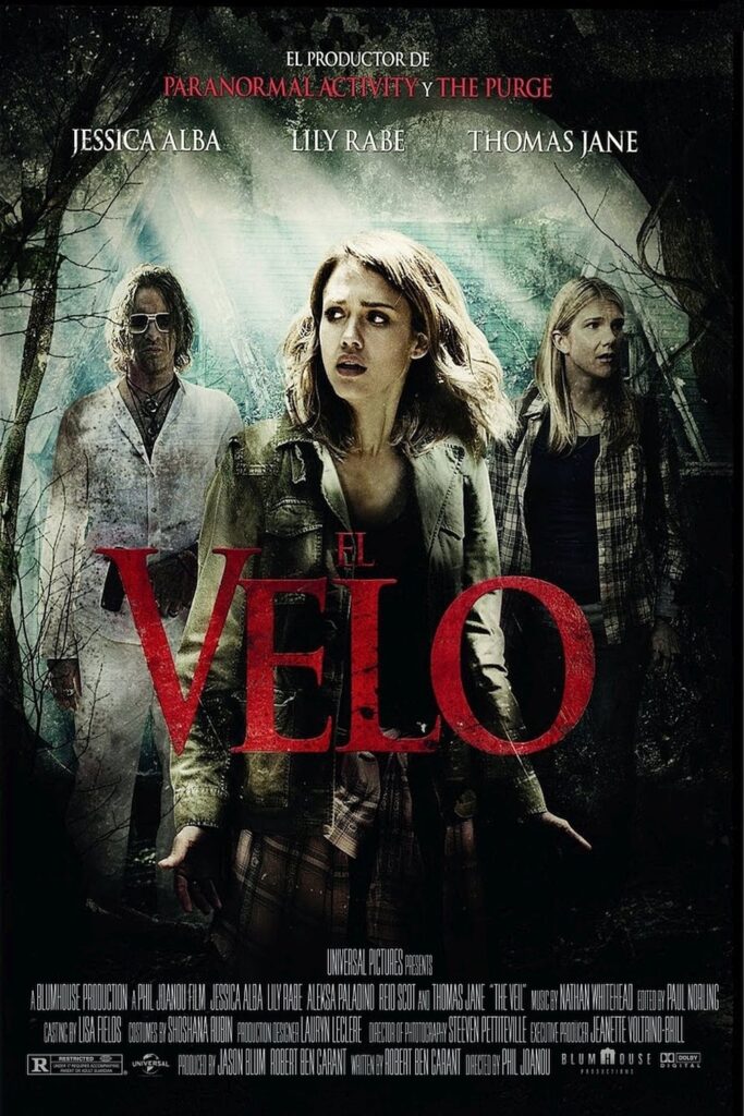Póster de El velo