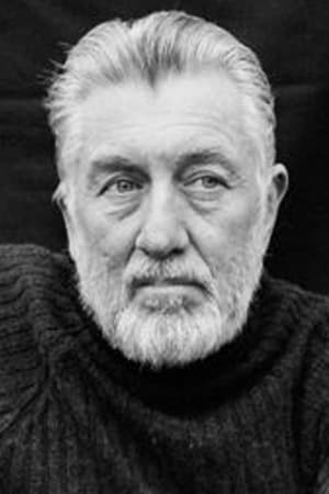 Póster de Peter Boom