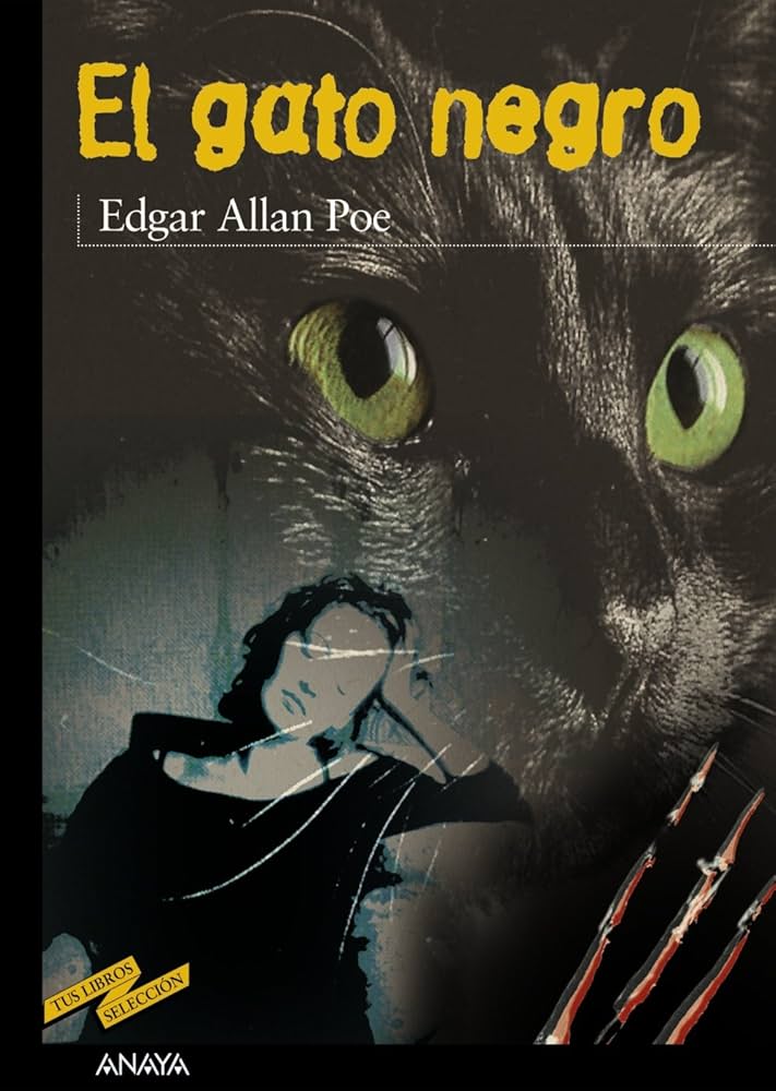 Póster de El gato negro
