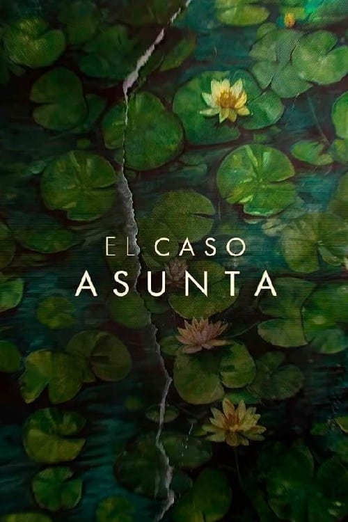 Póster de El caso Asunta Miniserie 1