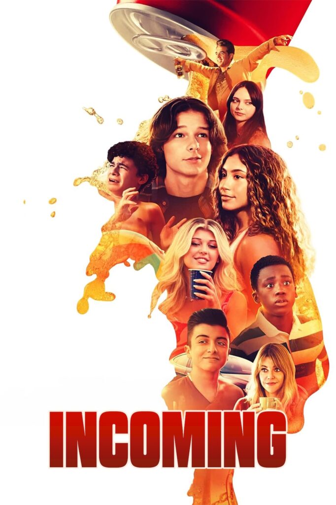 Póster de Inexpertos