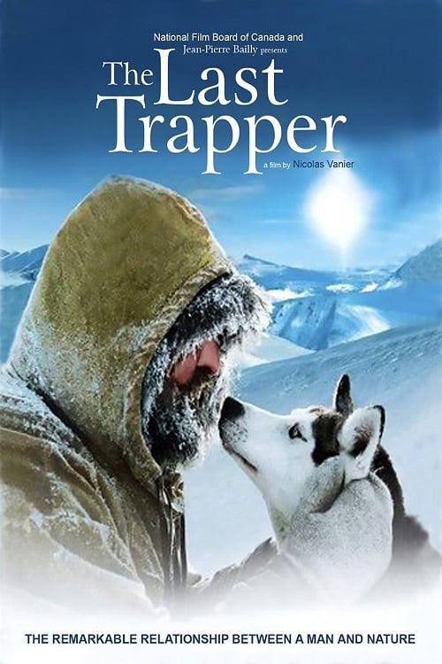 Póster de El último cazador
