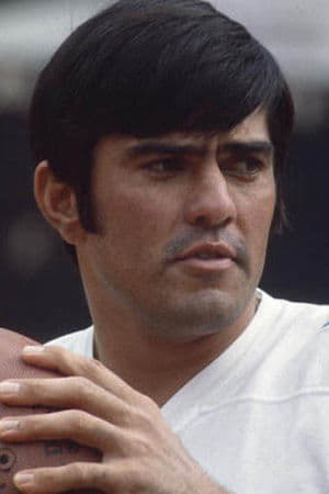 Póster de Roman Gabriel