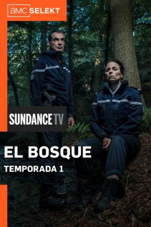Póster de El bosque Miniserie 1
