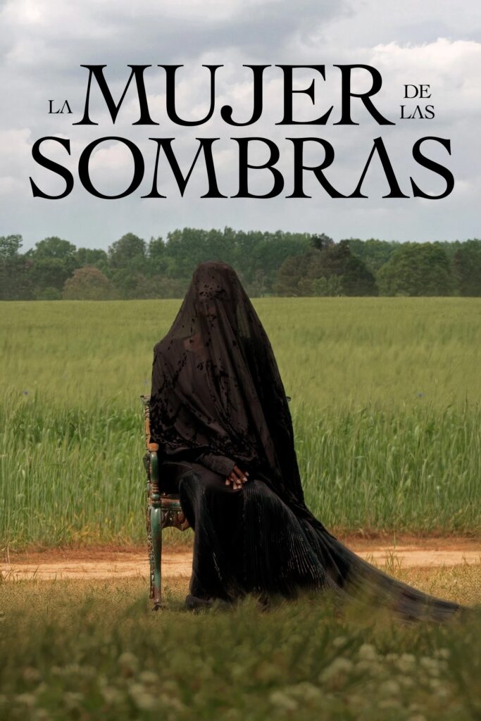 Póster de La mujer de las sombras