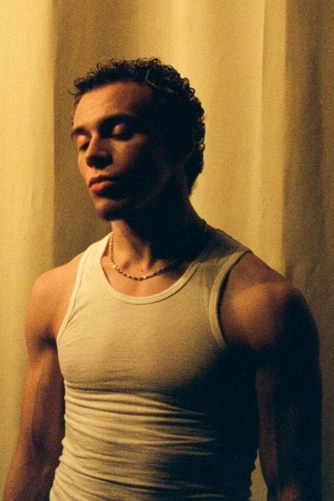 Póster de Will West